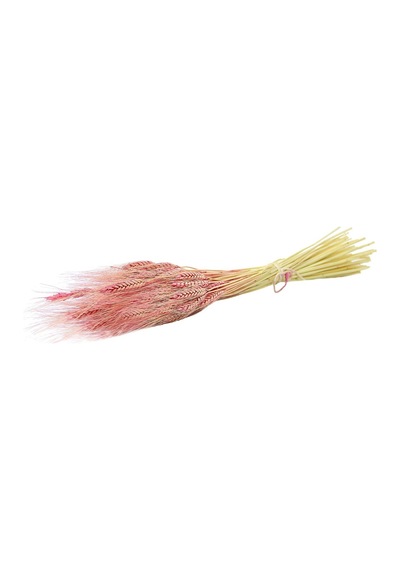 Kurutulmuş Başak Demeti Pembe