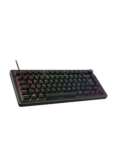 Hyperx Alloy Rise 75 Mekanik Kablolu Gaming Klavye Hyperx Alloy Rise 75 Mekanik Kablolu Gaming Klavye