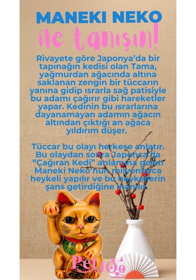 Petjoo 4.Maneki Neko Pembe-Mavi Qr'lı Kedi Künyesi
