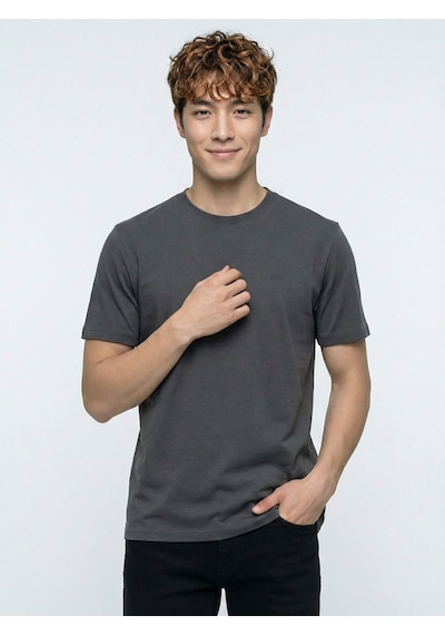 Loft Basic Antrasit Erkek T-shirt Lf2038850