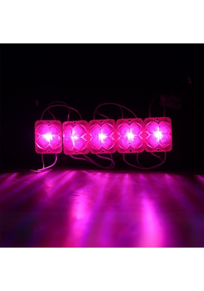 Powermaster Pm-14716 12 Volt 2 Watt Pembe Yanıp Sönen Çakar 4333-3030 Modül Led 43x33x28mm Diğer