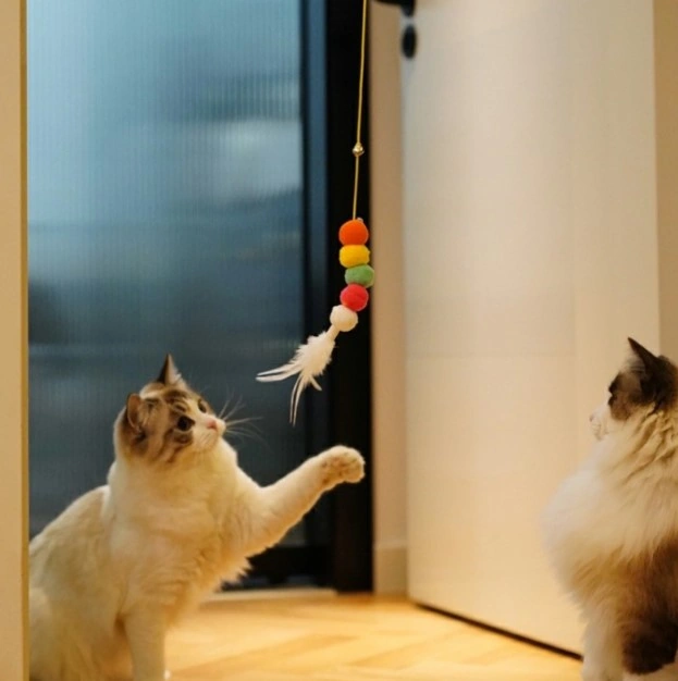 Elastik Kendinden Yapışkanlı Solucan Kedi Oltası 4741