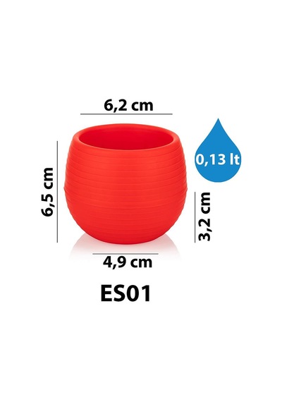 Serinova Elvan Kaktüs Saksısı 0.13 Lt 85750431