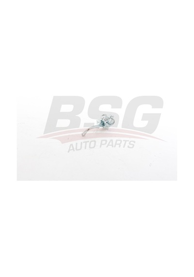Bsg Kapı Gergısı On/arka - R9 - R11 81-
