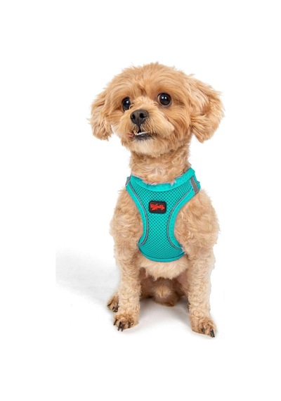 Tailpetz Air-mesh Küçük Ve Orta Irk Kedi Köpek Göğüs Tasması - Yumuşak, Nefes Alabilir, Dayanıklı , 2xs Sku: Zeusb08vx1qqlq Açık Bej - Bej