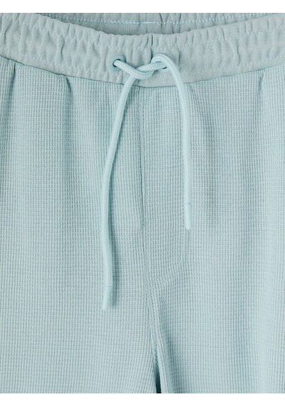 Lcwaıkıkı Classic Turkuaz Regular Fit Erkek Şort