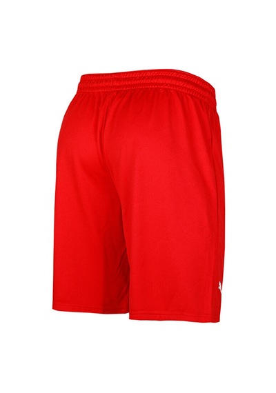 Puma Turkey Practice Short Erkek Türkiye Basketbol 60547202 Kırmızı 60547202 Kırmızı