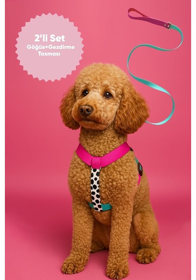Çekiştirme Önleyici Ayarlanabilir H Tipi Köpek Göğüs Ve Gezdirme Tasması Seti Pembe, Xs