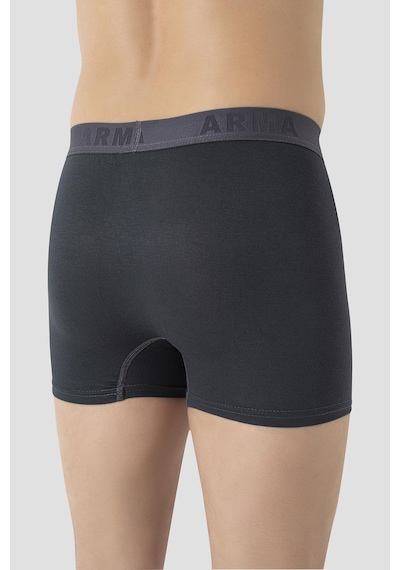 Arma Yıldız Erkek Bambu Büyük Beden Boxer Füme 10'lu Paket Füme