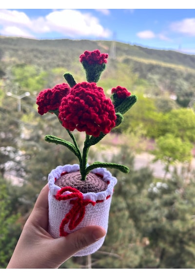 Örgü Saksılı Beyaz Karanfil Hediye