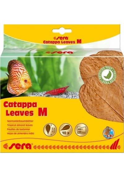 Sera  Catappya  Yaprağı  M  18  Cm  10  Yaprak