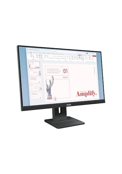 Lenovo 23.8" Ips E24-40 64bamat1tk 4ms 100hz Hdmı-dp Kurumsal Monitör