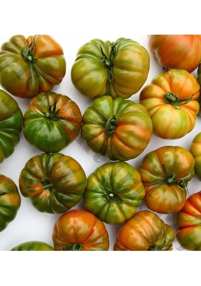 Paket 300 Tohum Kokulu Yayla Domatesi Tohumu Domates Tohumu