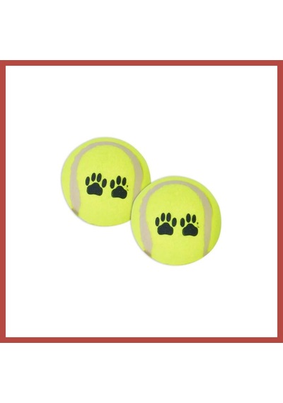 Flip Wp-6331 Pet Tenis Oyun Topu 2 Li 1 Adet Erdotıca