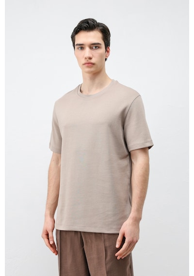 Antioch Regular Fit Basic Erkek T-shirt Vizon