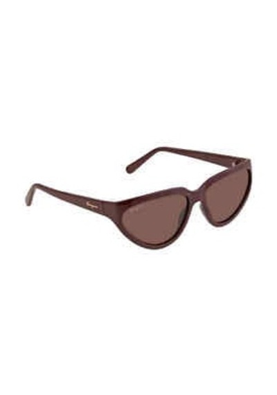 Salvatore Ferragamo SF 1017 604 Kadın Güneş Gözlüğü