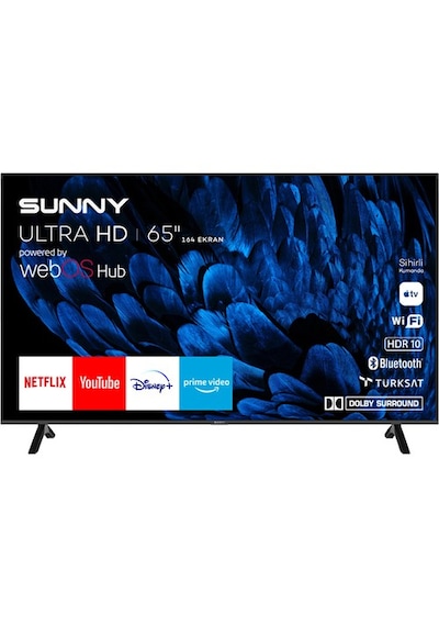 Sunny SN65FMN252 65" Ultra HD LED TV