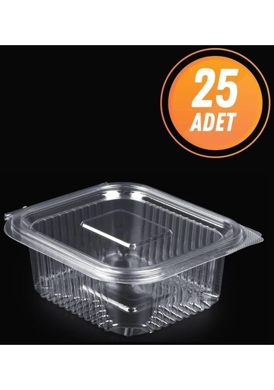 Kullan At Plastik Kilitli Şeffaf Düz Kapaklı Gıda Sakalam Kabı Sızdırmaz Kap 50 x 250 G