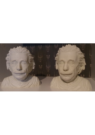 Albert Einstein Albert Eınsteın Büst 3D Baskı Figür Fıgure