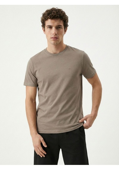 Regular Fit Erkek Tshirt K.kol Vizon