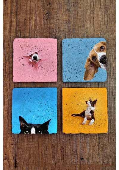 Doğal Taş Bardak Altlığı Renkli Kedi Ve Köpek Baskılı 4'lü Set Çok Renkli