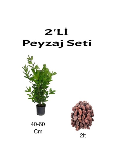 2'li Peyzaj Seti Defne Çalısı Fidanı+ Curf