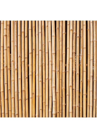 Bambu Sopası 180 Cm 16 -18Mm Bambu Çubuğu 5 Adet