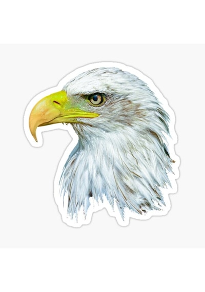 Araba Için Kartal Sticker Yapıştırması Etiket Oto Leptop 17Cm Z1