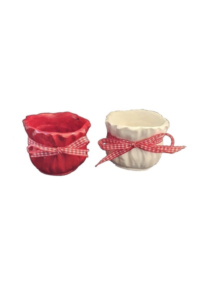 El Yapımı Kırmızı Beyaz Sukulent Saksı Seti