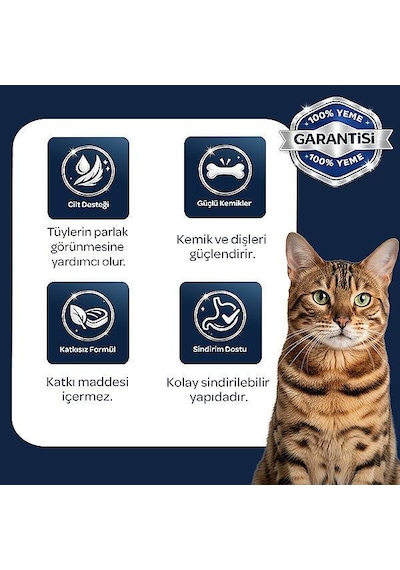 Obivan Kuzu Etli Ve Yaban Mersinli Yetişkin Kedi Maması 2 Kg