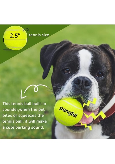 Ayrex Jouis Köpek Oyuncağı Tenis Topu 2'li Büyük Boy Dayanıklı Kauçuk İç Yapı, Diş Dostu Yumuşak Keçe