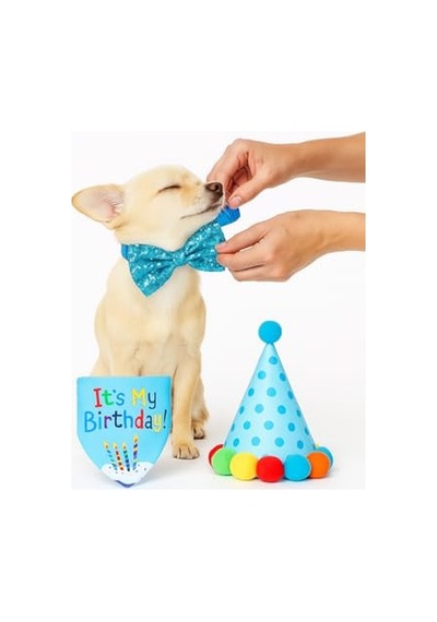 Busstier Köpek Kedi Doğum Günü Seti Bandana Şapka Afiş Parti Dekorasyonu, Şapyon Tasma Aksesuarı, Erkek Ve Dişi Evcil Hayvanlar İçin Mavi 256 Busstier Köpek Kedi Doğum Günü Seti Bandana Şapka Afiş Parti Dekorasyonu, Şapyon Tasma Aksesuarı, Erkek Ve Dişi Evcil Hayvanlar İçin Mavi 256