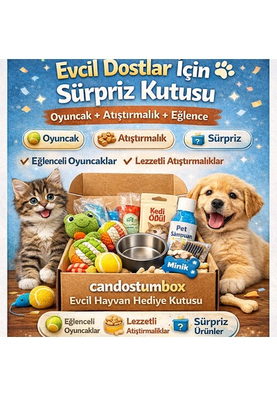 Candostumbox Evcil Hayvan Hediye Kutusu Oyuncak Ve Atıştırmalık