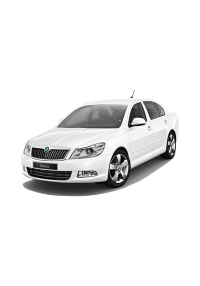 Skoda Octavia A5 3D Paspas Havuzlu Siyah 2005-2013 Arası Rizline N11.9174