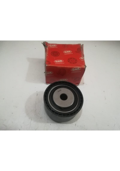 P206 EKSANTRİK GERGİ RULMANI GNR60070