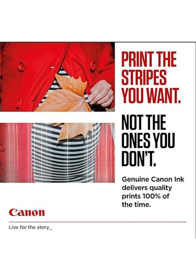 Canon Cl-546 Renkli Mürekkep Kartuşu 8289b001