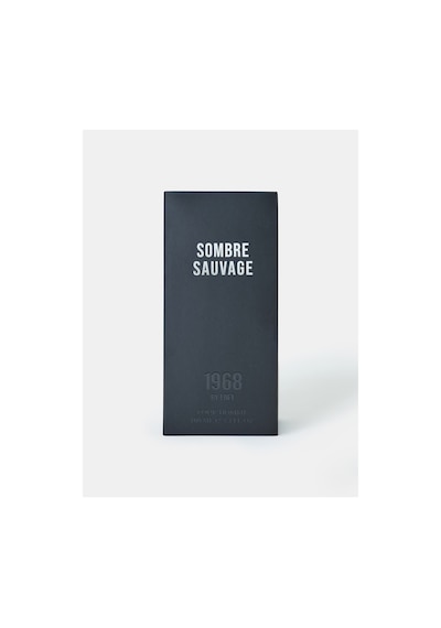 Loft Sombre Sauvage Erkek Parfüm EDT 100 ML