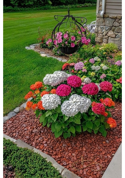 Kırmızı Bordo Dolomit Çakıl Taşı 4-6 Cm 2 Kg Dekoratif Bahçe Peyzaj Saksı Akvaryum Teraryum