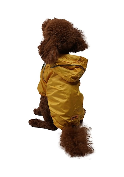 Pawstar Pluvia İçi Polar Küçük Irk Köpek Yağmurluğu