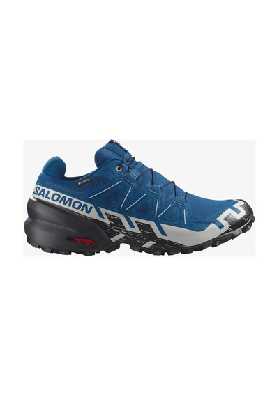 Salomon Speedcross 6 Gore-tex Renkli