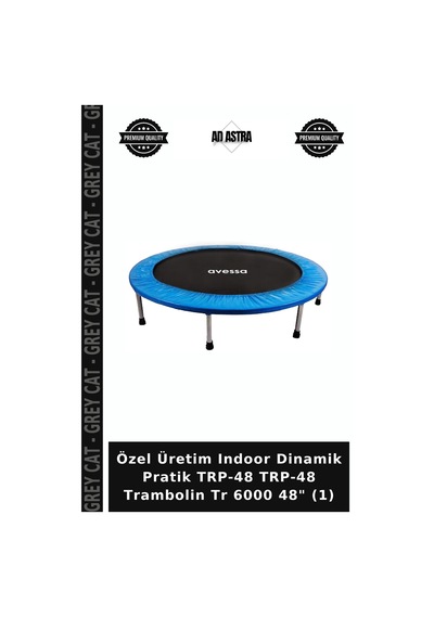 Özel Üretim Indoor Dinamik Pratik Trp-48 Trp-48 Trambolin Tr 6000 48" 1