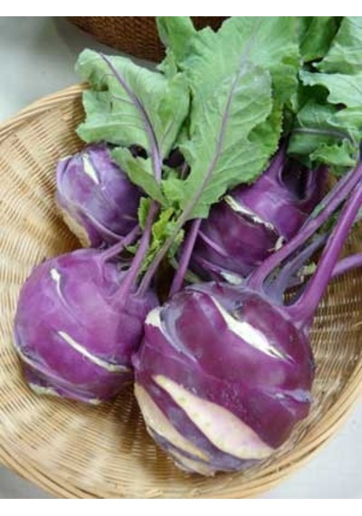 Mor Kohlrabi Alabaş Tohumu 100+ Tohum N116922