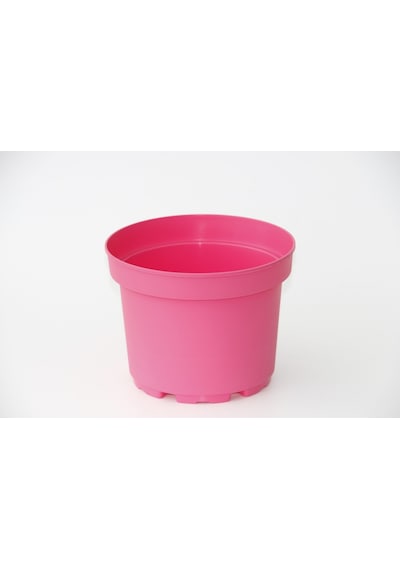 Pembe Saksı 20 Adet