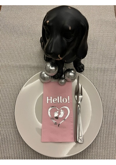 Gümüş Yaldızlı Pembe Hello Baby Ayaklı Peçete 16 Adet