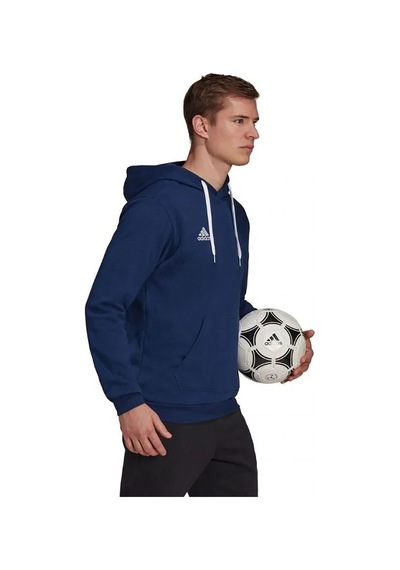 Adidas Tenabl Ent22 Hoody Null