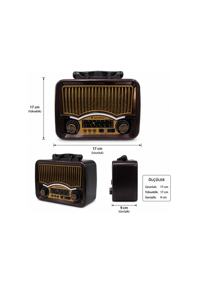 Gold Silver Gs-1360 Nostaljik Tasarım Bluetooth Radyo Yedek Pili