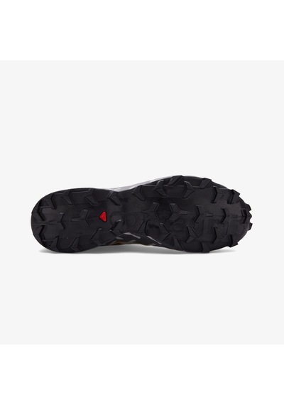 Salomon Speedcross 6 20 Years Q2 Erkek Gri Trail Koşu Ayakkabısı L49158800