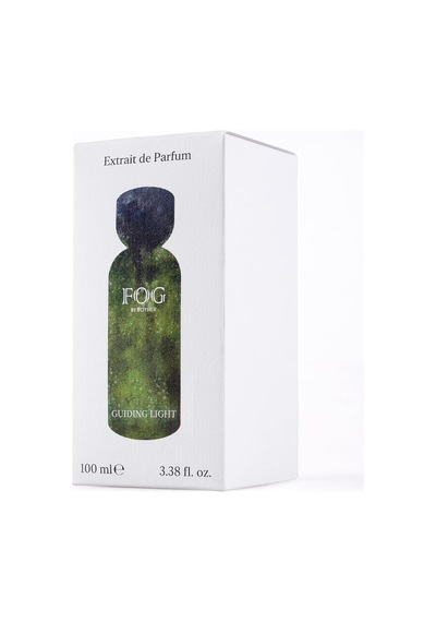 Guiding Light Edp 100 Ml Erkek Parfüm, 5003286587 Amber