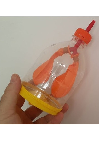 Akciğer Solunum Deney Seti 1 Adet Kutulu Plastik Şişe Y Borusu Balon Tıpa Akciger Model Yapımı Deney Fen