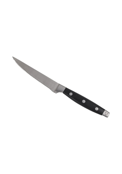 Abs Siyah Saplı Lüks Steak Bıçağı 21 Cm Siyah